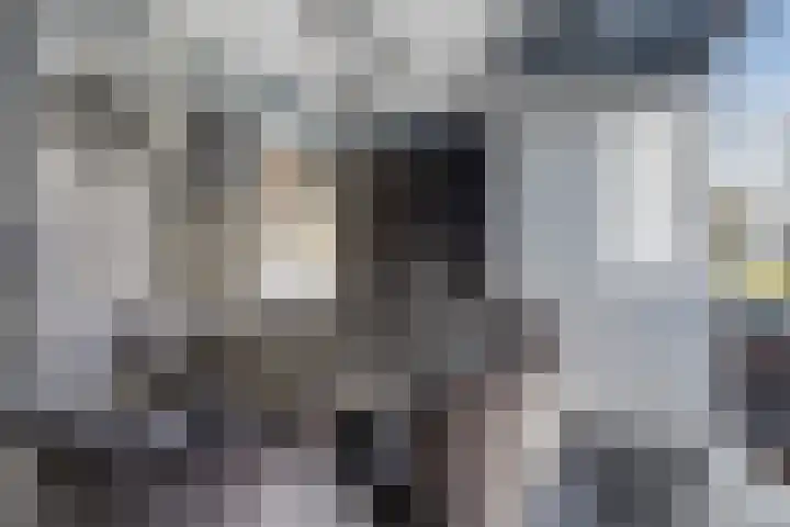 Talmalaan 145 Utrecht thumbnail 20