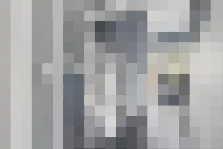 Talmalaan 145 Utrecht thumbnail 30