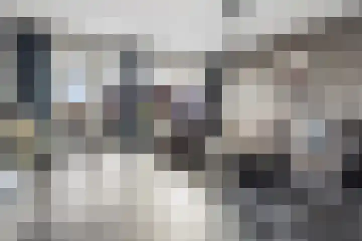 Talmalaan 145 Utrecht thumbnail 4