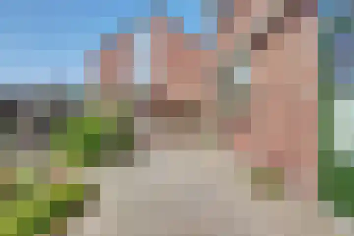 Talmalaan 19 Vlissingen thumbnail 27