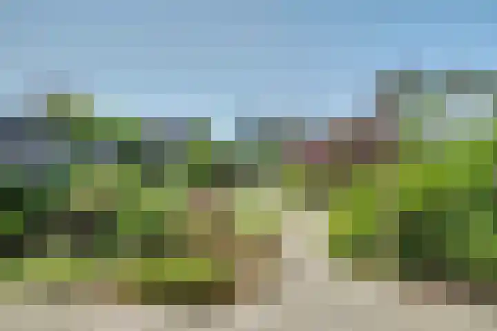 Talmalaan 19 Vlissingen thumbnail 28