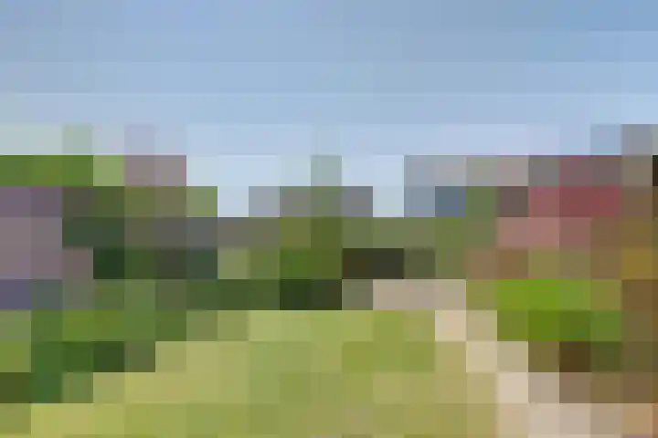 Talmalaan 19 Vlissingen thumbnail 29