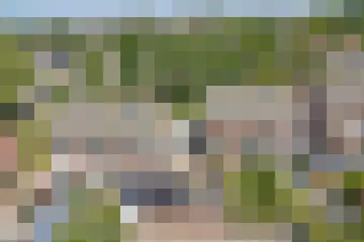 Talmalaan 19 Vlissingen thumbnail 34