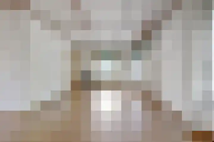 Talmalaan 19 Vlissingen thumbnail 5