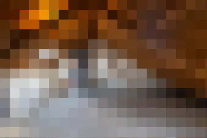 Talmalaan 22 Soest thumbnail 38
