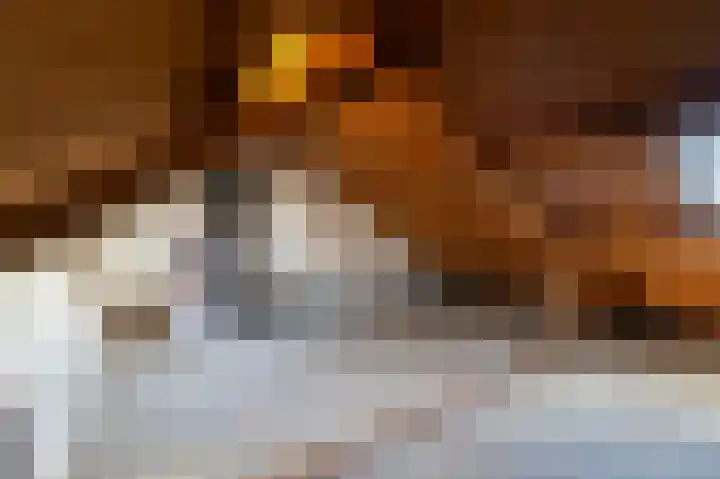 Talmalaan 22 Soest thumbnail 39