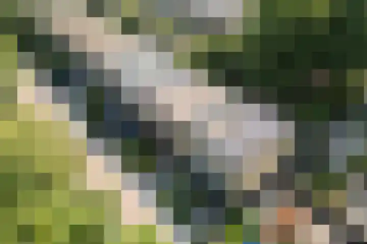 Talmalaan 23 Zeist thumbnail 23