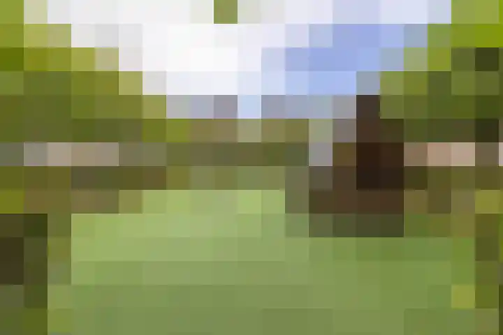 Talmalaan 30 Baarn thumbnail 23