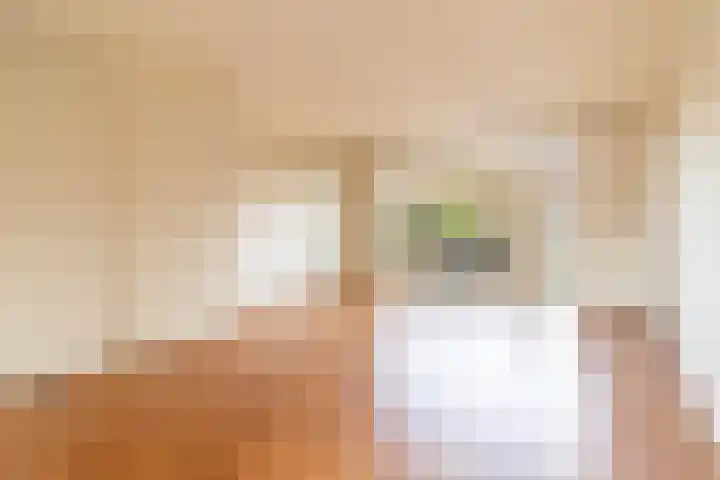 Talmalaan 30 Baarn thumbnail 5