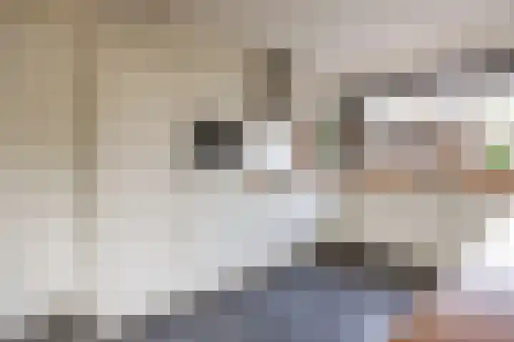 Talmalaan 4 Amersfoort thumbnail 11