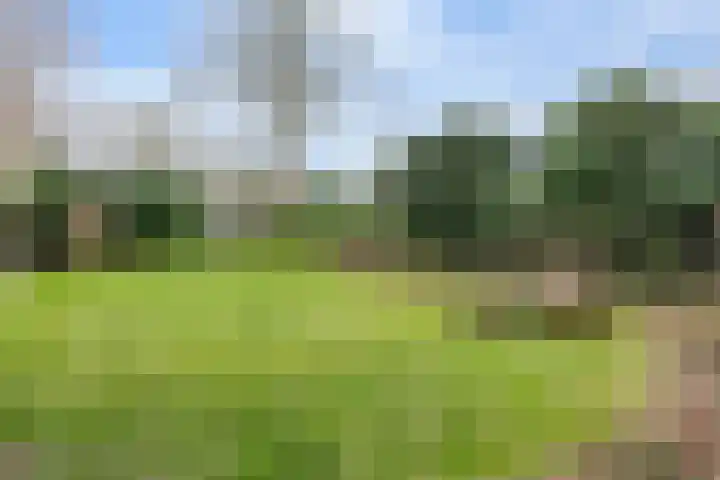 Talmalaan 4 Amersfoort thumbnail 34