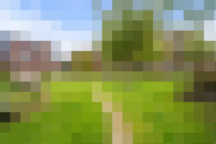 Talmalaan 89 Utrecht thumbnail 52