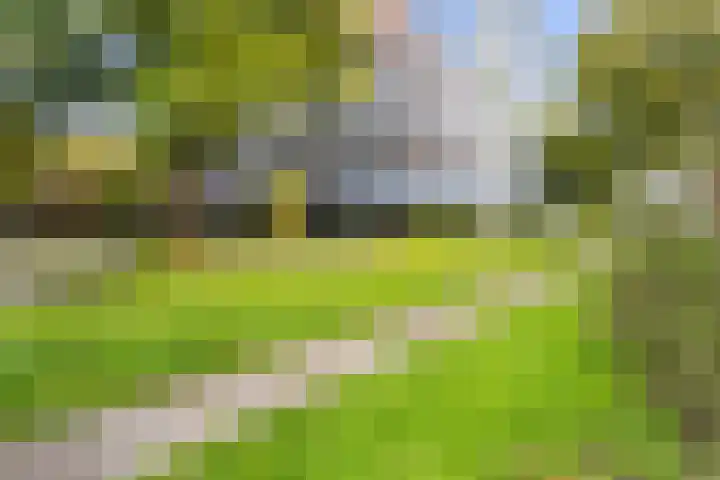 Talmalaan 89 Utrecht thumbnail 56
