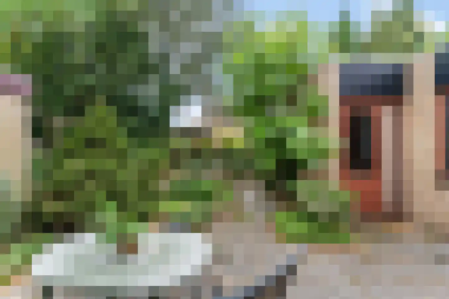 Talmaplantsoen 24 Zwijndrecht thumbnail 27