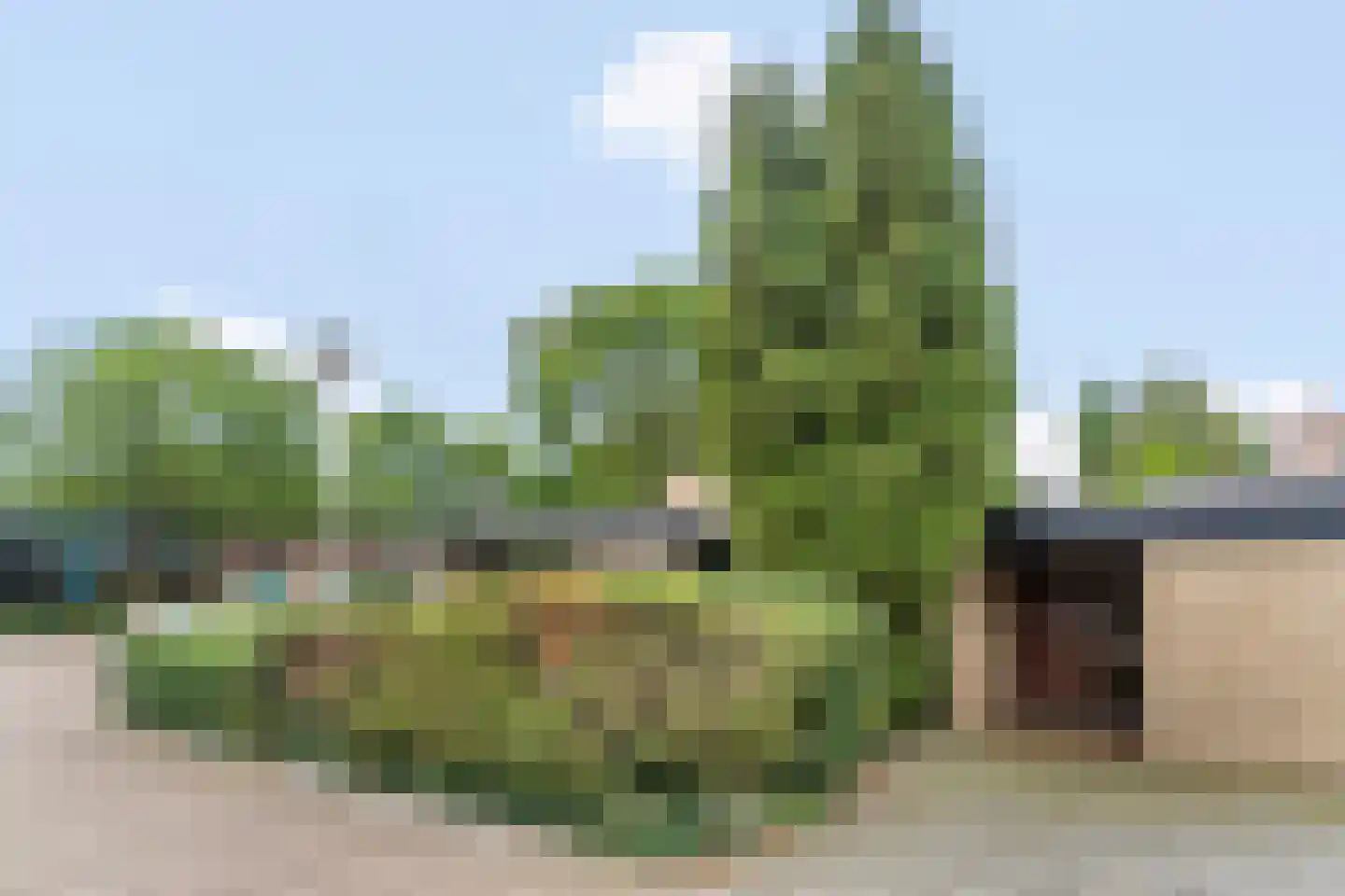 Talmaplantsoen 24 Zwijndrecht thumbnail 7
