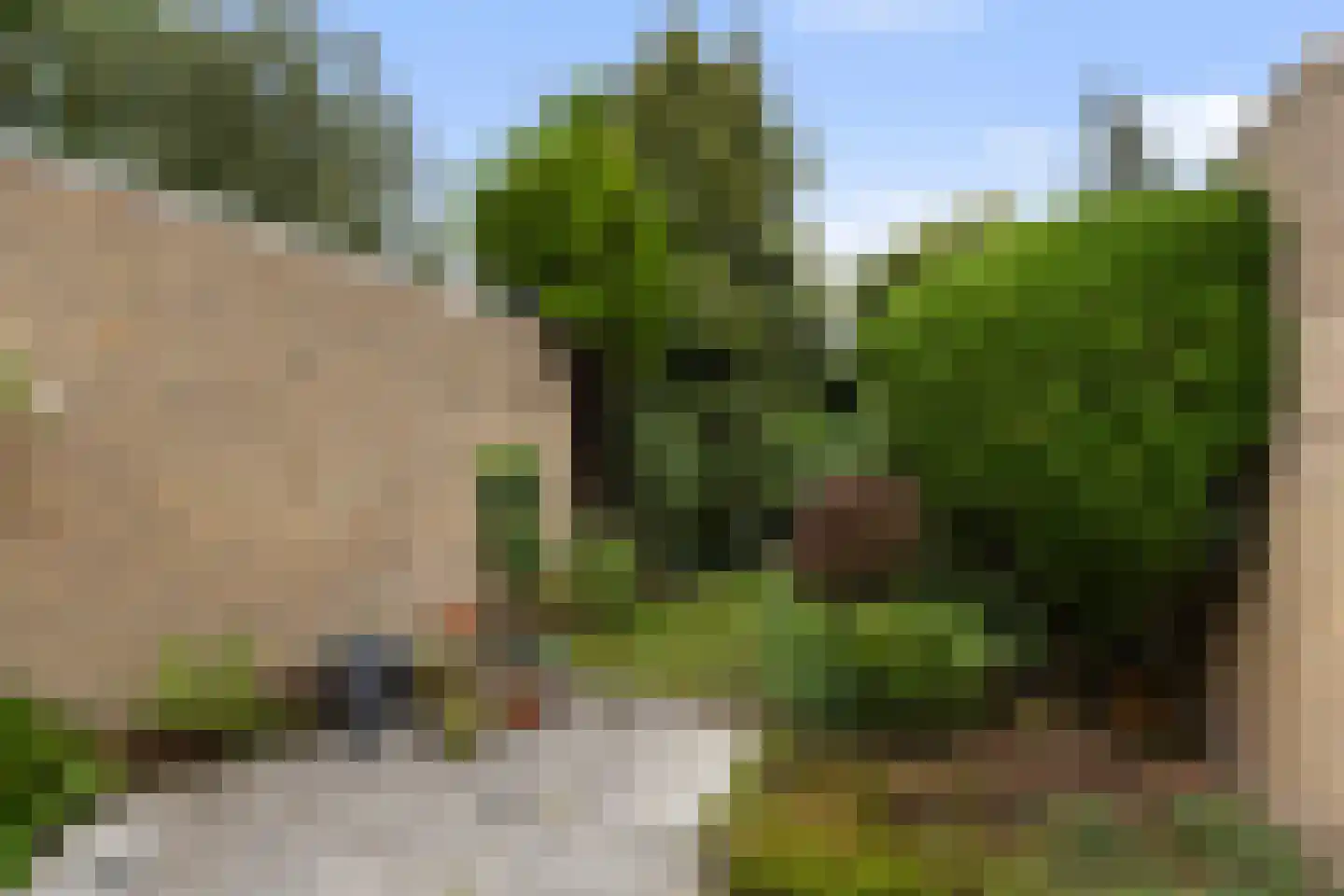 Talmaplantsoen 26 Zwijndrecht thumbnail 27