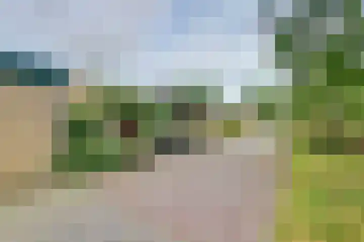 Talmaplantsoen 60 Zwijndrecht thumbnail 35