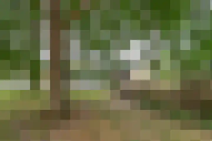 Talmaplantsoen 60 Zwijndrecht thumbnail 36