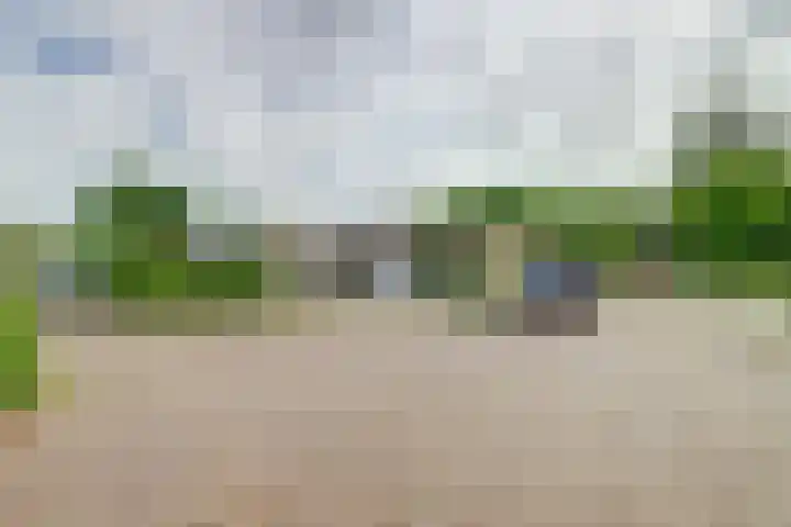 Talmaplantsoen 60 Zwijndrecht thumbnail 37