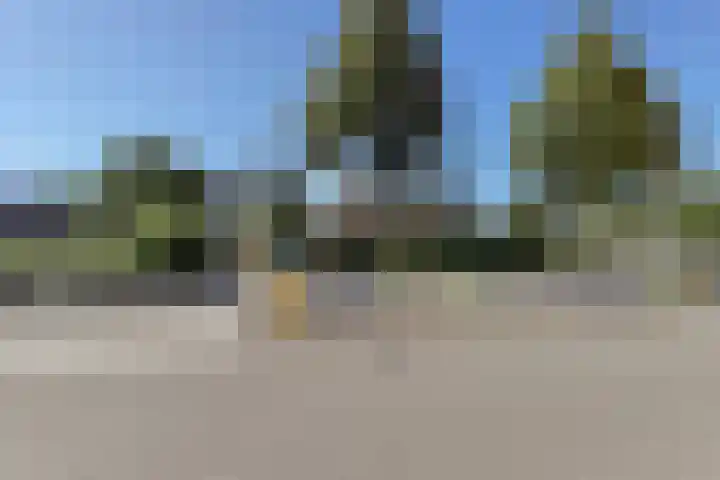 Talmaplantsoen 62 Zwijndrecht thumbnail 36