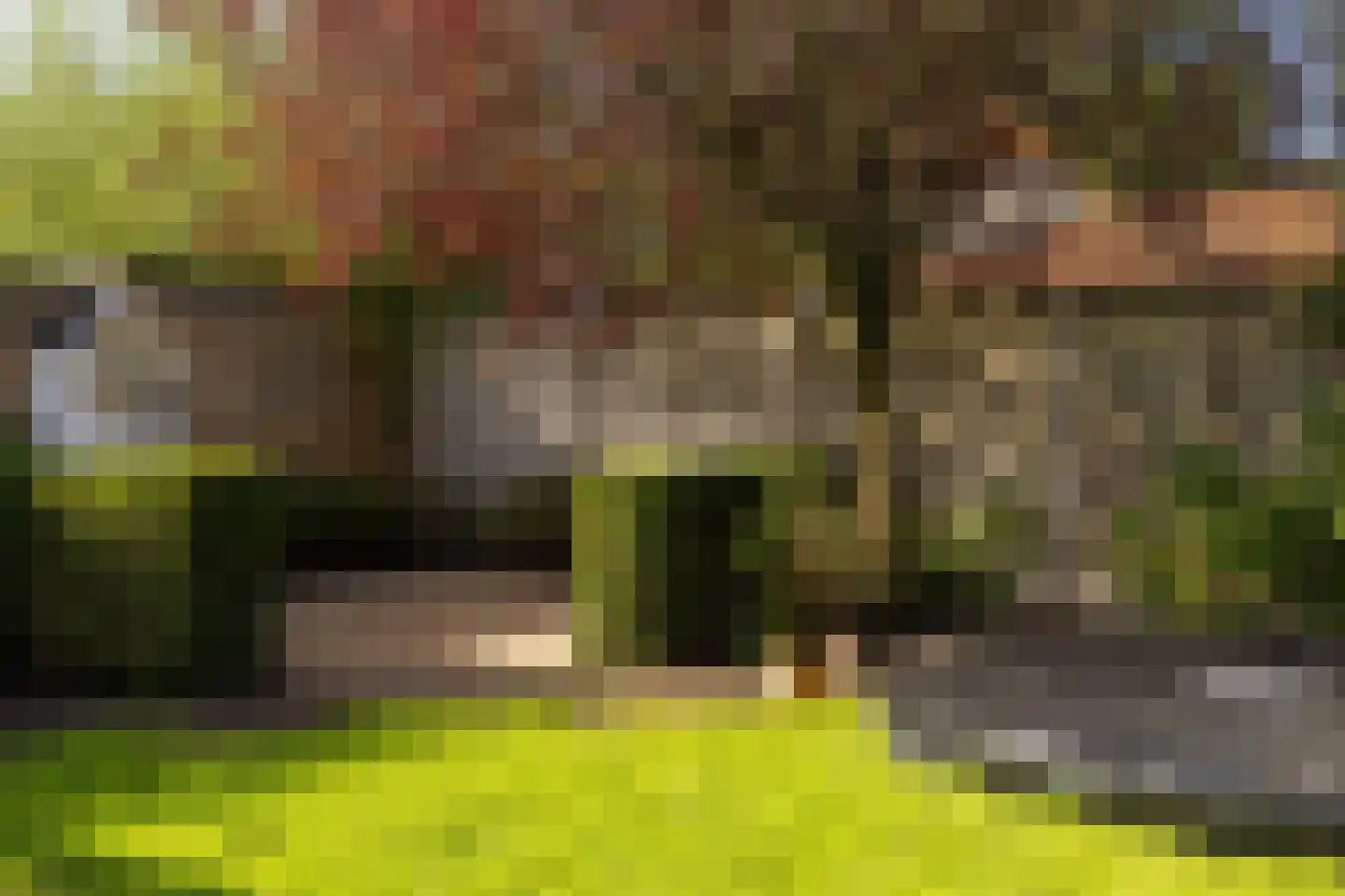 Talmastraat 1 Nunspeet thumbnail 10