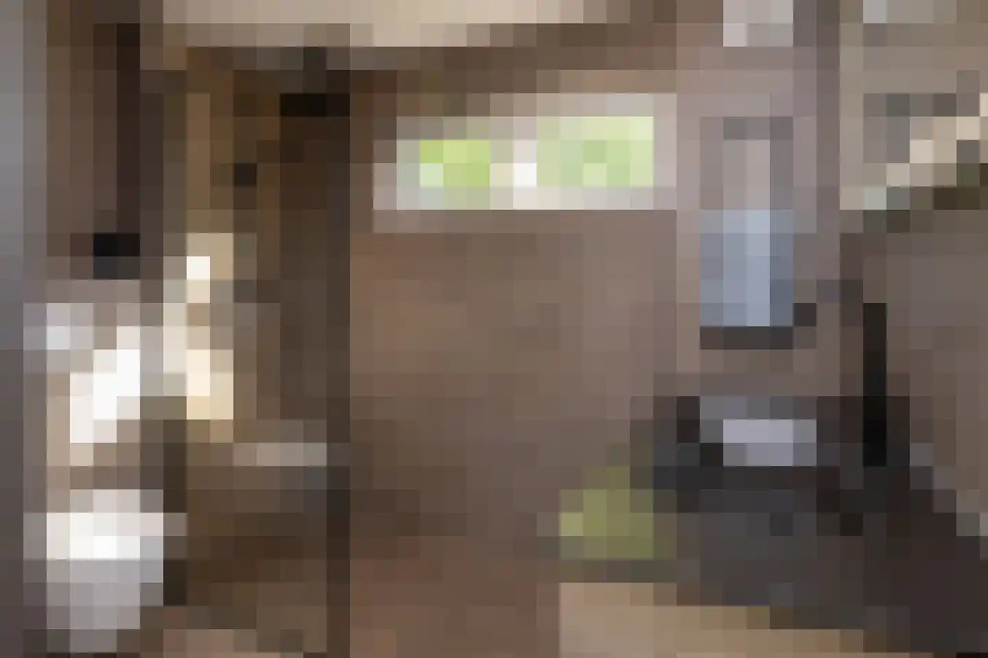 Talmastraat 1 Nunspeet thumbnail 28