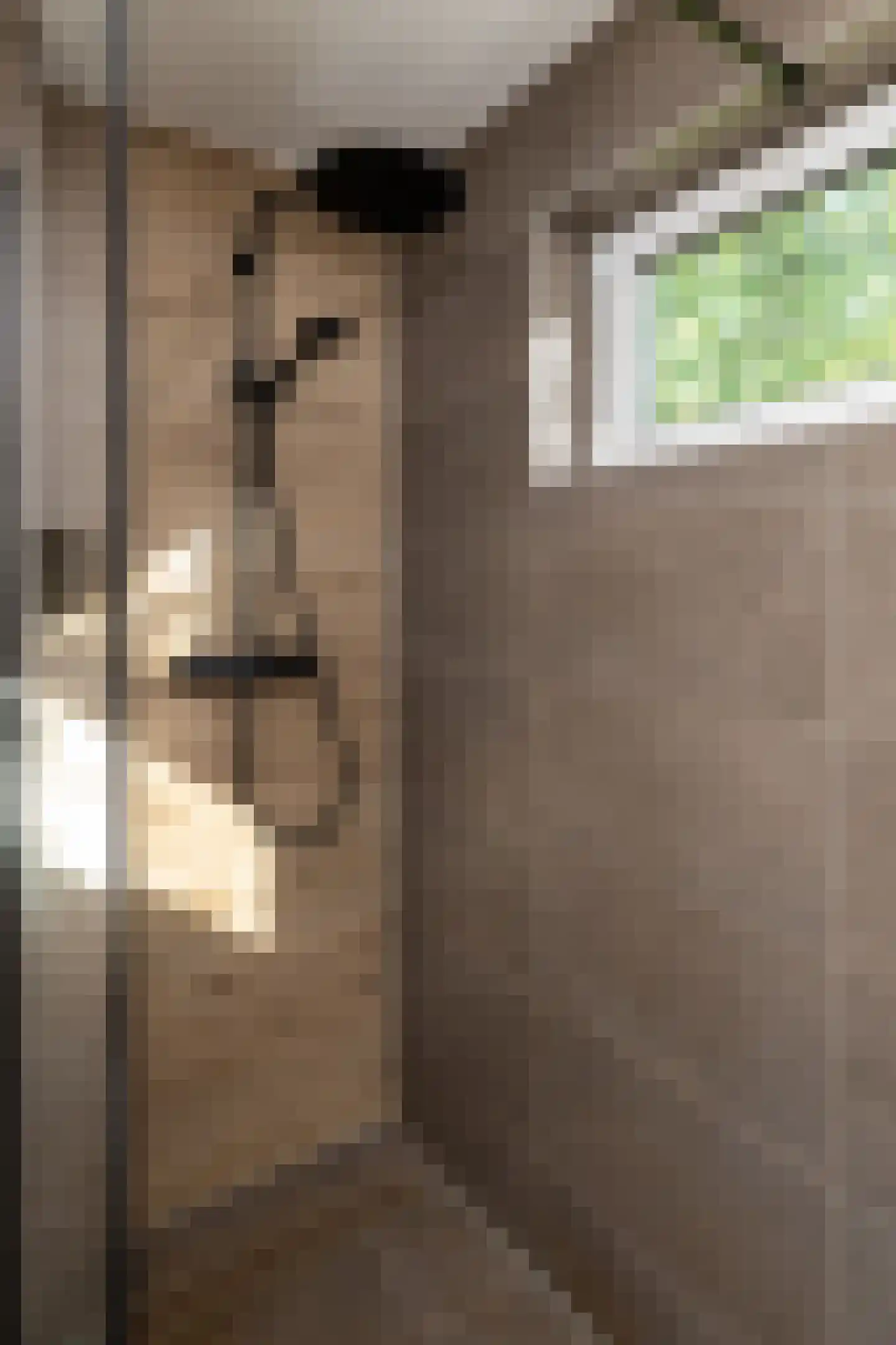 Talmastraat 1 Nunspeet thumbnail 30