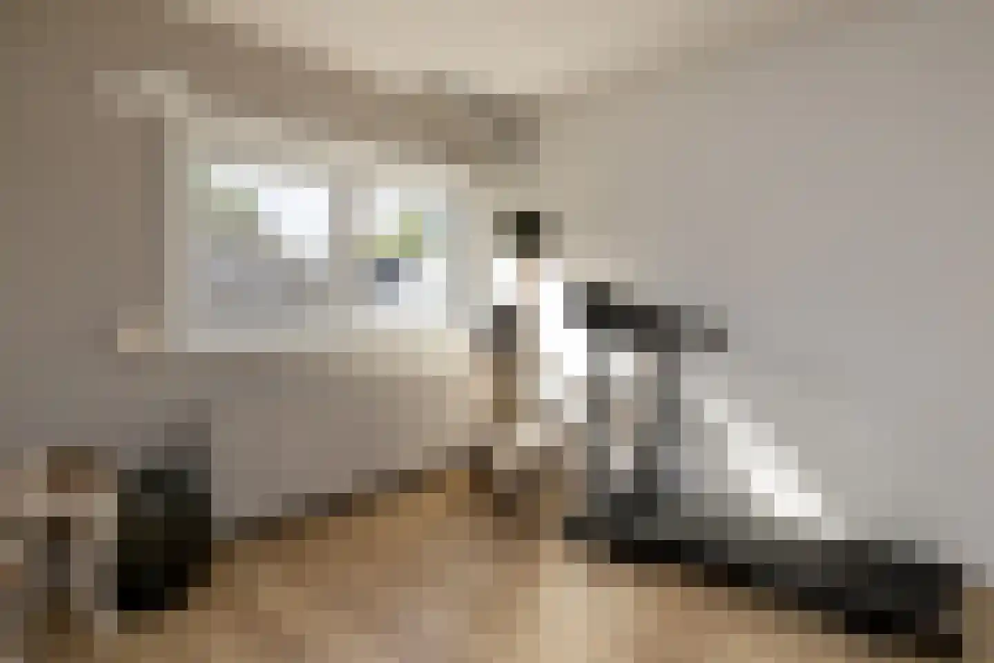 Talmastraat 1 Nunspeet thumbnail 37