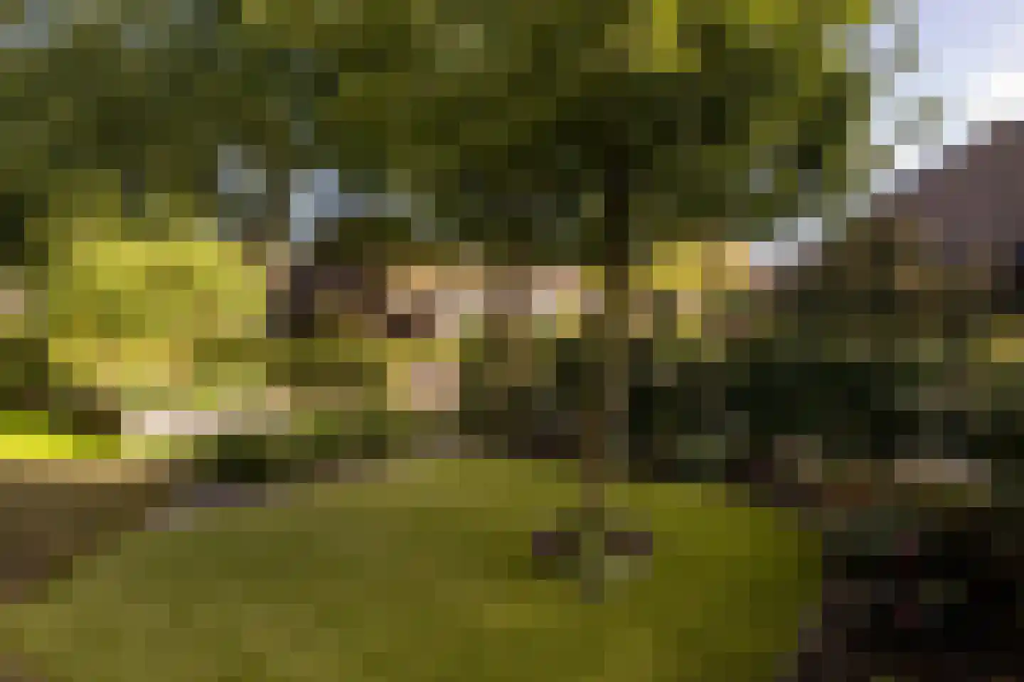 Talmastraat 1 Nunspeet thumbnail 44