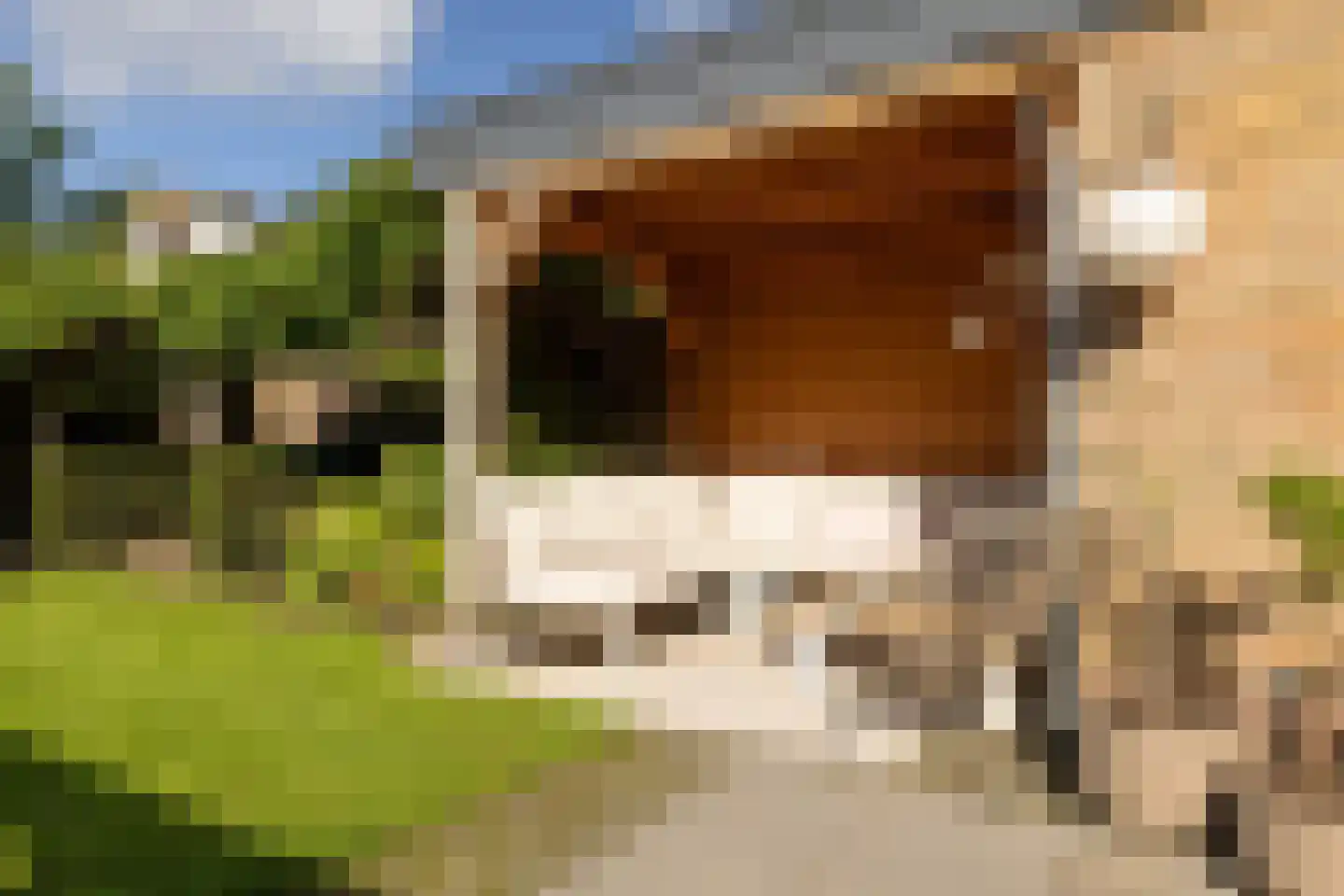 Talmastraat 1 Nunspeet thumbnail 8