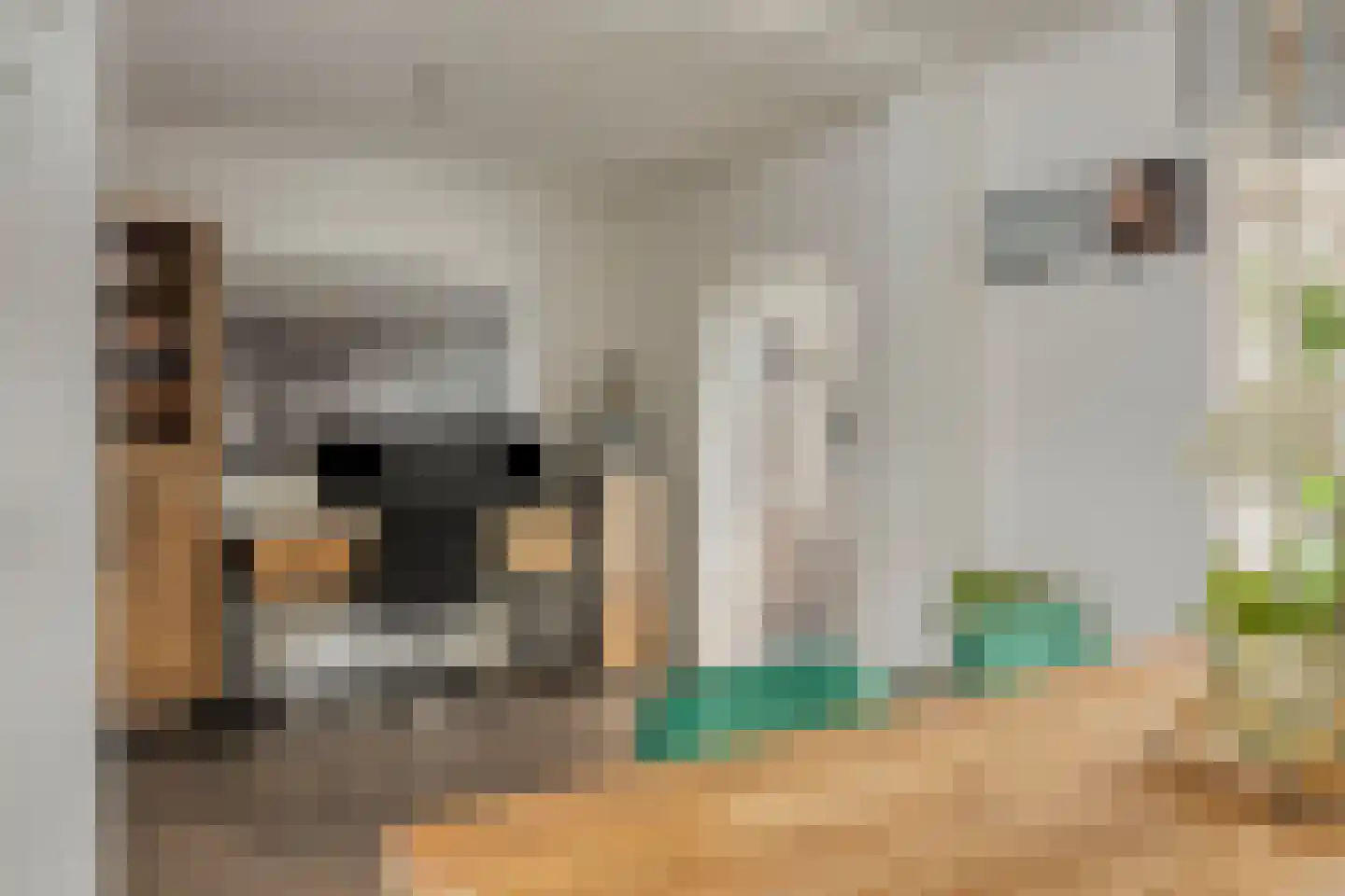 Talmastraat 10 Oss thumbnail 16