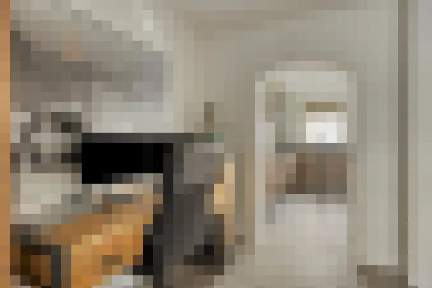 Talmastraat 10 Oss thumbnail 17