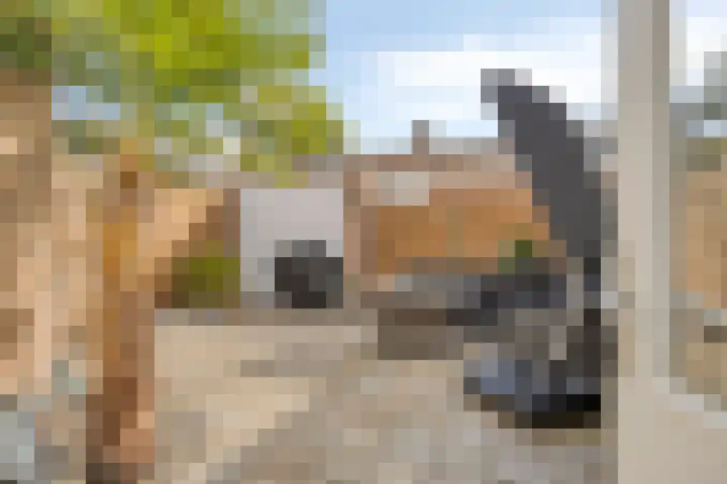 Talmastraat 10 Oss thumbnail 30