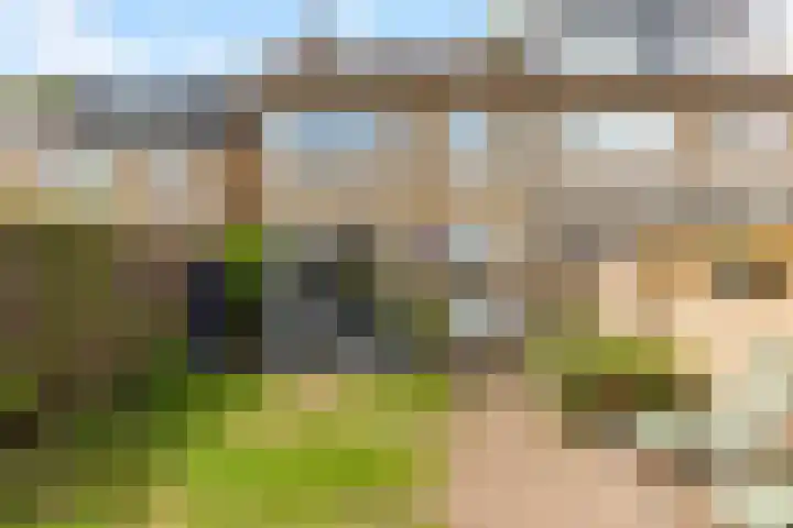 Talmastraat 10 Waalwijk thumbnail 13