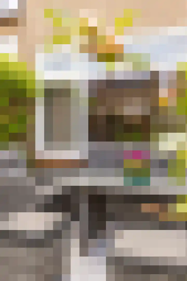 Talmastraat 10 Waalwijk thumbnail 17