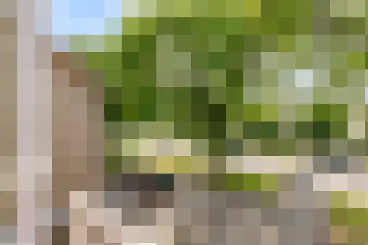Talmastraat 10 Waalwijk thumbnail 26
