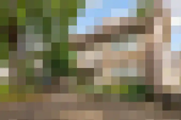 Talmastraat 10 Waalwijk thumbnail 31