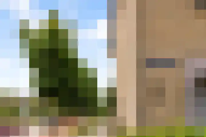 Talmastraat 10 Waalwijk thumbnail 32