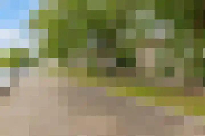 Talmastraat 10 Waalwijk thumbnail 33