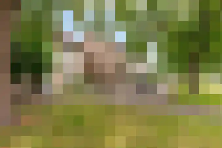 Talmastraat 10 Waalwijk thumbnail 34