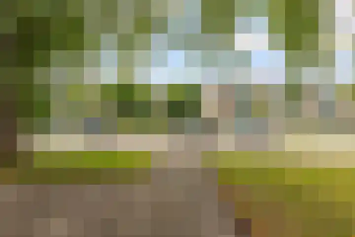 Talmastraat 10 Waalwijk thumbnail 35