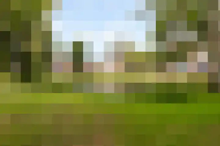 Talmastraat 10 Waalwijk thumbnail 36