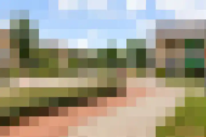 Talmastraat 10 Waalwijk thumbnail 37