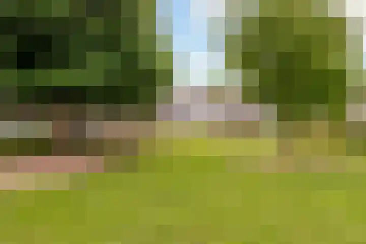 Talmastraat 10 Waalwijk thumbnail 38