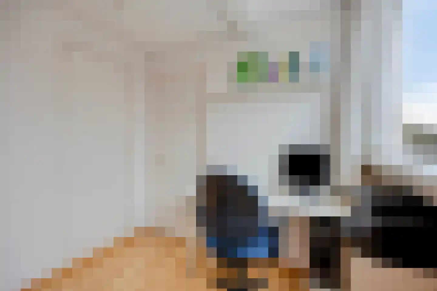 Talmastraat 10 Zaandijk thumbnail 21