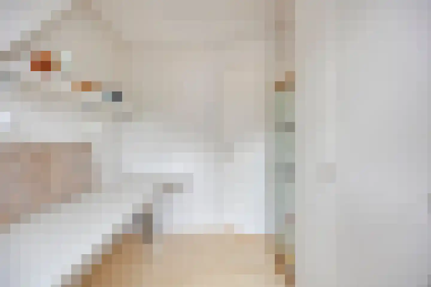 Talmastraat 10 Zaandijk thumbnail 23