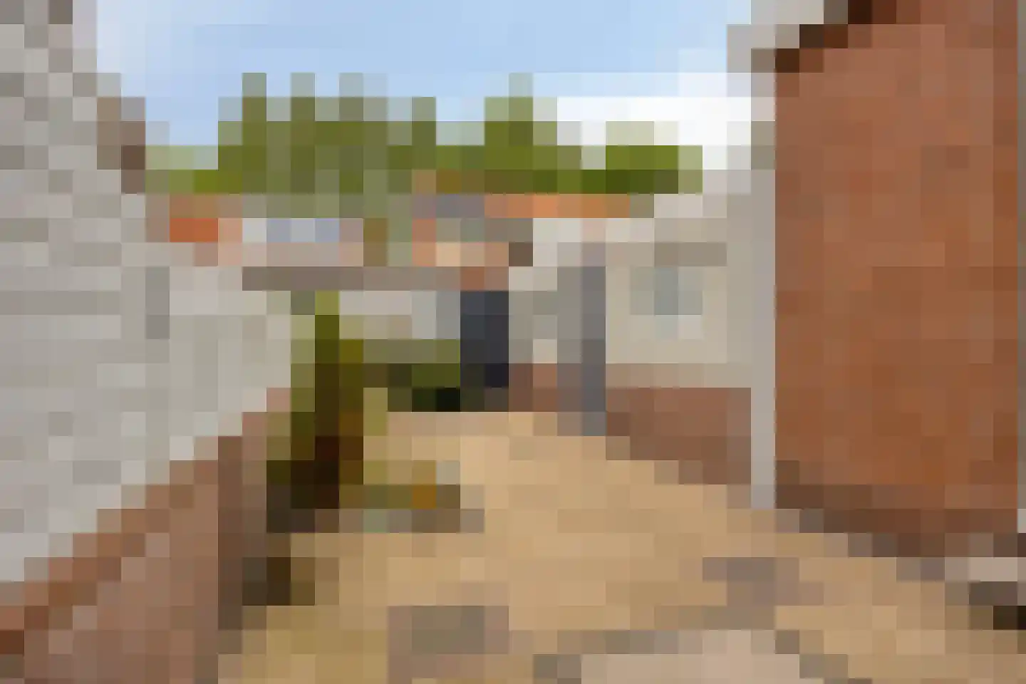 Talmastraat 10 Zaandijk thumbnail 29