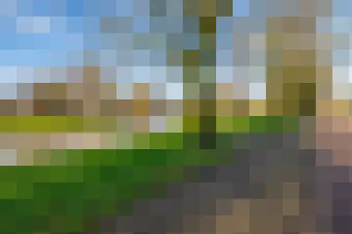 Talmastraat 100 Veendam thumbnail 36