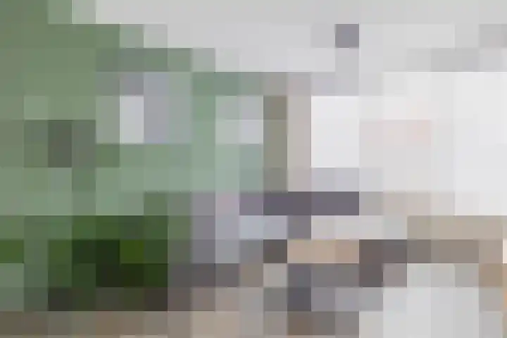 Talmastraat 100 Veendam thumbnail 7