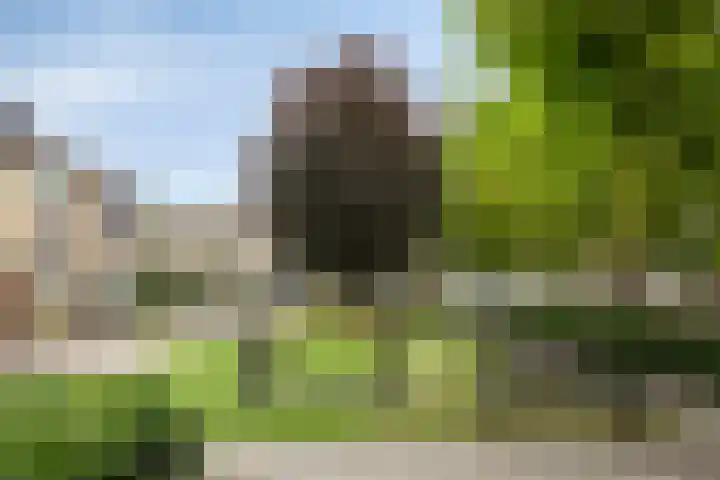 Talmastraat 107 Waalwijk thumbnail 32